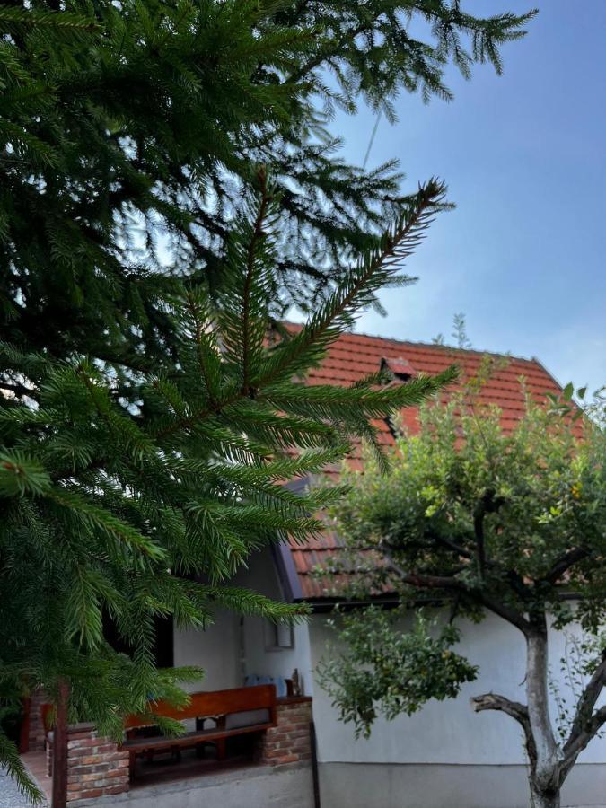 Holiday Home Amila Visoko Kültér fotó