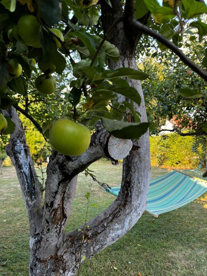 Holiday Home Amila Visoko Kültér fotó